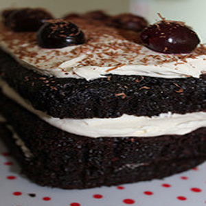 vegan chocolate cake from rebeccas cakes
